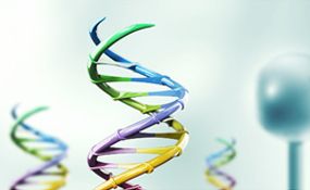 涓棿浣? >
<div   id=